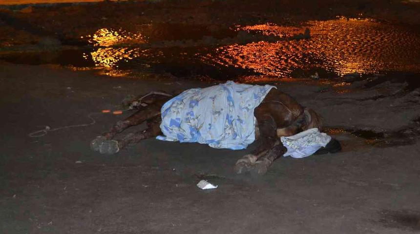 Tekirdağ'da iç acıtan görüntü! Terk edilmiş at, yol kenarında ölü bulundu