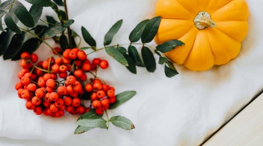Faydaları saymakla bitmeyen &uuml;vez meyvesi hakkında neler biliyorsunuz? İşte şaşırtan faydalarıyla &uuml;vez meyvesi...