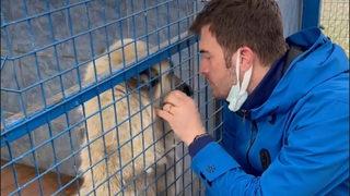 Kıvanç Tatlıtuğ ve Başak Dizer Bodrum'da hayvan barınağını ziyaret etti! Keşke hepsini kurtarabilsek