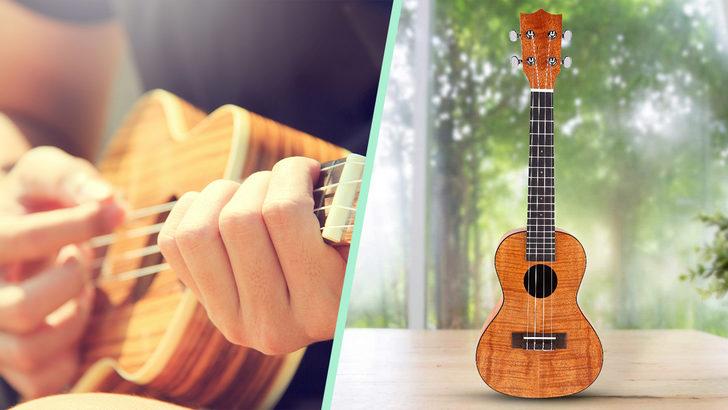 Yeni başlayan ve profesyoneller için en iyi ukulele markaları ve modelleri