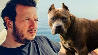  Şahan Gökbakar'dan tehlike arz eden köpek ırkları için çağrı: Süre uzatılsın