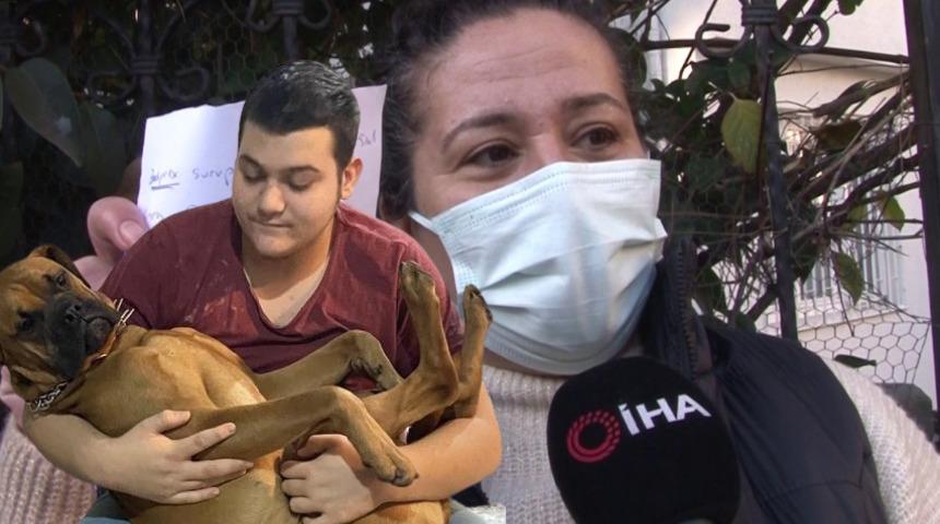 Üsküdar’da silahlı dehşet! Pitbull zannedip köpeği vurdular: Ağzından kan dökülüyordu