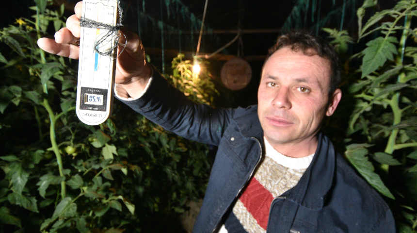 Antalyalı üreticiler nöbette! ''Don vurursa biteriz''