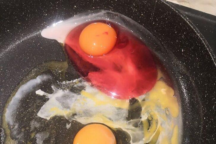 Omlet yapmak istedi! Yumurtayı kırınca gördükleri karşısında şaşkınlık yaşadı