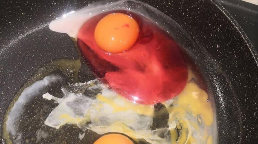Omlet yapmak istedi! Yumurtayı kırınca gördükleri karşısında şaşkınlık yaşadı