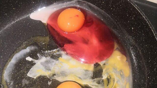 Omlet yapmak istedi! Yumurtayı kırınca gördükleri karşısında şaşkınlık yaşadı