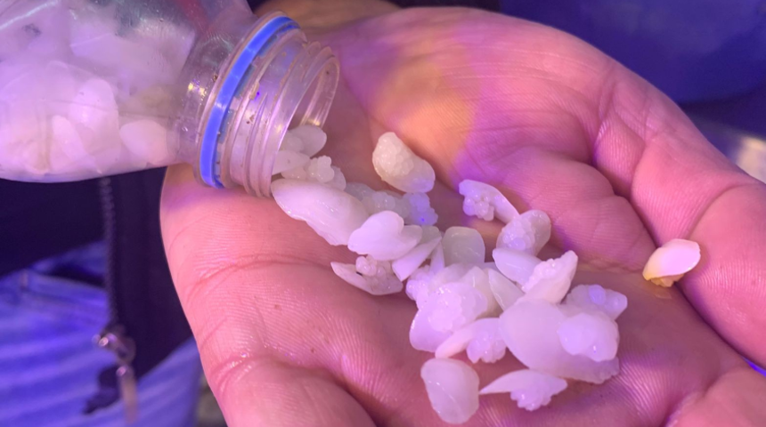 Balık taşı için kuyruğa giriyorlar! ''Doktorlar bile tavsiye ediyor, 15 güne etkisini gösteriyor''