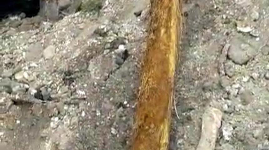 Adana'da görenleri şaşkına çeviren olay! Su borusundan 6 metrelik ağaç kökü çıktı