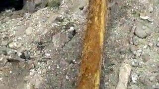 Adana'da görenleri şaşkına çeviren olay! Su borusundan 6 metrelik ağaç kökü çıktı