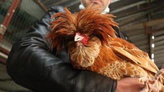 Sosyal medyadan paylaşım yaptıkça talep yağıyor! Tanesi 500 dolar...