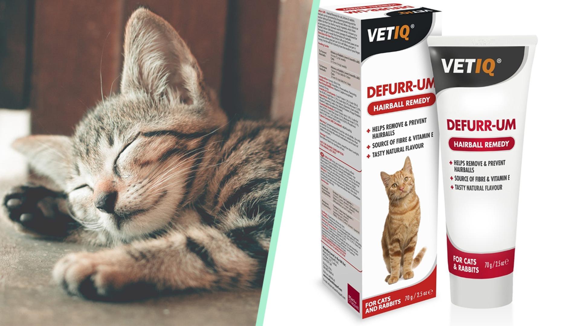 Patili dostlarınızın sağlıklı yaşaması için