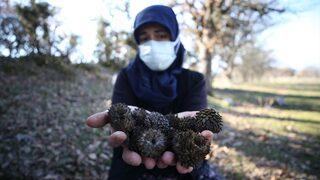 Yeni geçim kaynağı oldu! Günde en az 500 lira kazanıyorlar