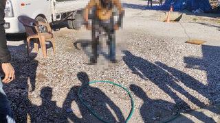 Zabıtaya kızıp üzerine benzin dökerek kendini yakmıştı! Kömür satıcısı hayatını kaybetti