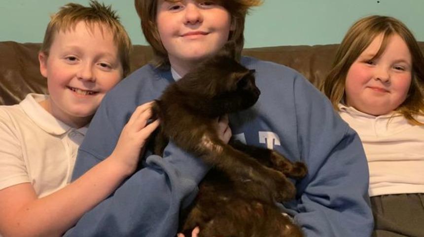 8 aydır kayıp olan kedisini telefondaki miyavlama sesinden tanıdı! Özlem sona erdi