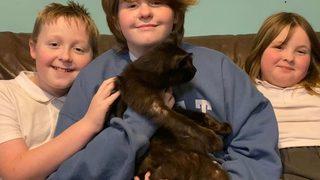 8 aydır kayıp olan kedisini telefondaki miyavlama sesinden tanıdı! Özlem sona erdi