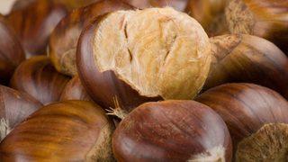 Mutluluğun formülü kestanede gizli!