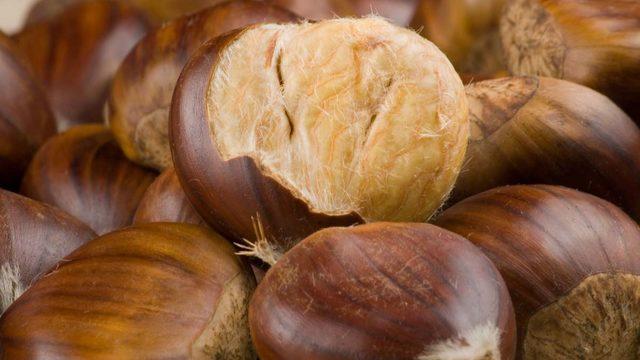 Mutluluğun formülü kestanede gizli!