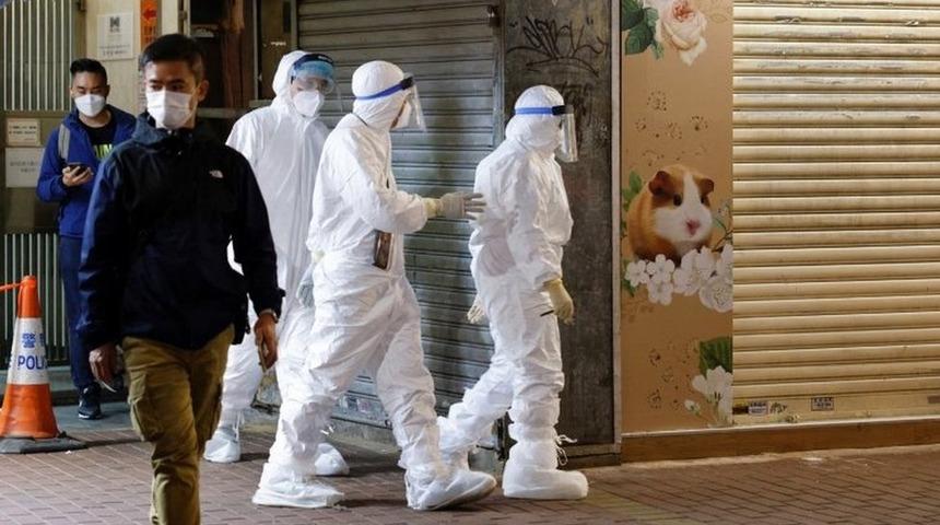 Hong Kong'da 11 hamster'ın Covid testi pozitif &ccedil;ıktı, 2 bin hayvan &ouml;ld&uuml;r&uuml;lecek