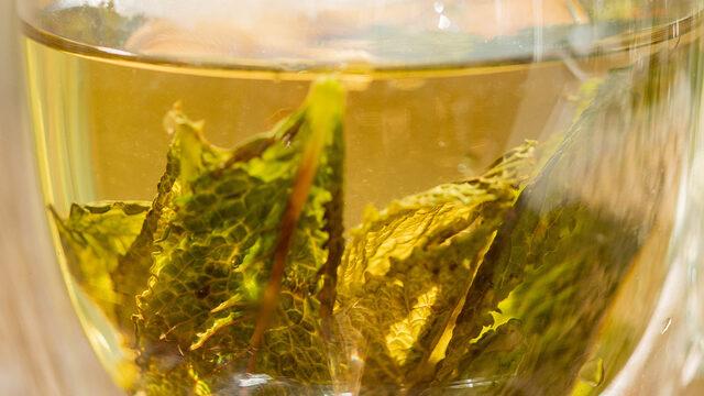 Kokusuyla ferahlatan nanenin çayını hiç denediniz mi? Her derde deva nane çayının yapımı ve saymakla bitmeyen faydaları sizlerle!