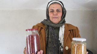 1 dönümden 1 kilo çıkıyor! Kilosu 90 bin lira