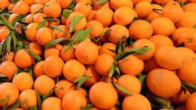 Rusya'dan portakal hamlesi mi geliyor?