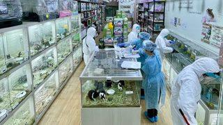 Covid: Koronavirüs hayvanlarda mutasyona uğrayıp yeni bir salgına yol açabilir mi?