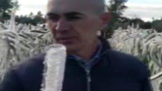 Adanalı çiftçi sabah bahçesine indiğinde şaşkına döndü: Uzaylılar gelmiş sanırım