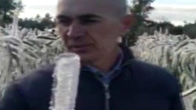 Adanalı çiftçi sabah bahçesine indiğinde şaşkına döndü: Uzaylılar gelmiş sanırım