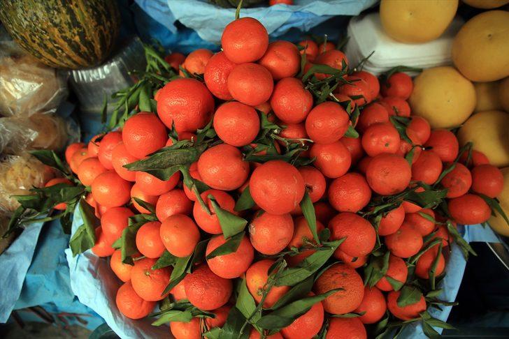 Narenciye ihracatçısının gözdesi mandalina 3 yılda 1,2 milyar dolar getirdi G2