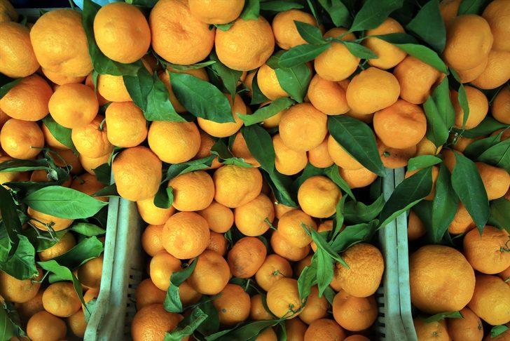 Narenciye ihracatçısının gözdesi mandalina 3 yılda 1,2 milyar dolar getirdi G3