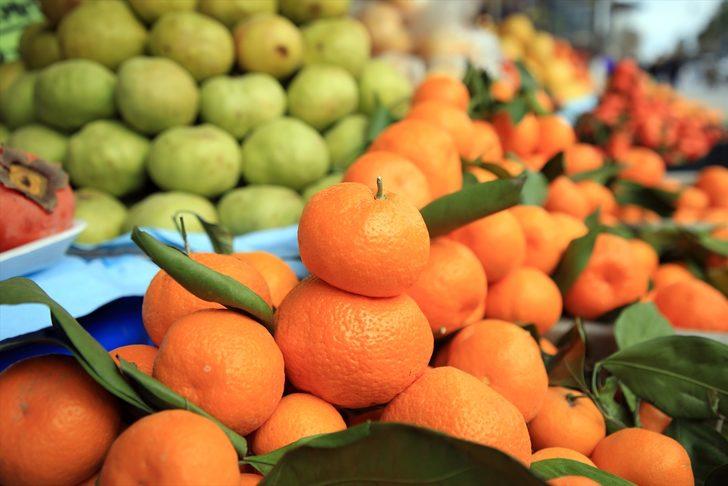 Narenciye ihracatçısının gözdesi mandalina 3 yılda 1,2 milyar dolar getirdi G4