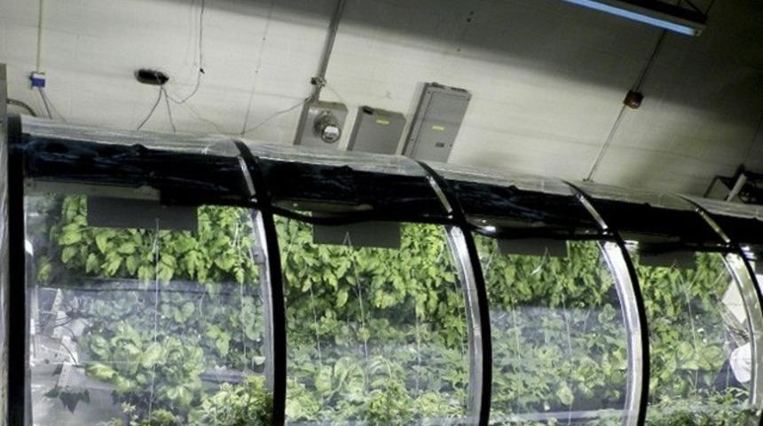 NASA, Mars'ta yaşamı bu teknolojiyle geliştiriyor 