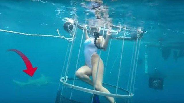Porno yıldızına köpek balığı saldırdı