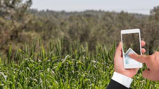 Konut satışında ilk kez! Çareyi tarlada buldular...
