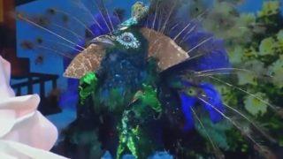 Maske Kimsin Sen'de Ayna, Ördek ve Tavus Kuşu kim çıktı? Ayna, Ördek ve Tavus Kuşu'nun kim olduğu belli oldu mu?