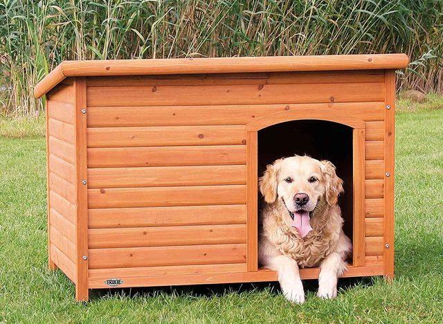 Köpeğiniz için bahçe ve ev tipi en iyi köpek kulübesi çeşitleri