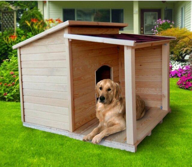 Köpeğiniz için bahçe ve ev tipi en iyi köpek kulübesi çeşitleri