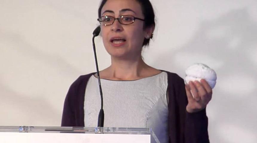 Türk bilim kadınının önemli başarısı: Anne bebek ölümlerine dur diyecek!