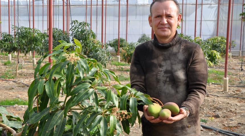 Tanesi 40 liradan satılıyor! Yıllık kazancı 300 bin lira