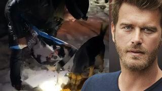 Kıvanç Tatlıtuğ'dan alkışlanacak hareket! Sokak hayvanlarını unutmadı