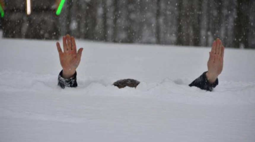 Ordu'da şaşkına çeviren görüntü! Karda boy verdi, gören telefona sarıldı