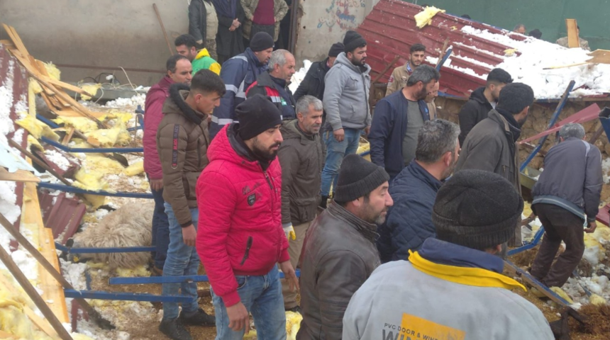Adıyaman'dan kahreden haber! Kar yağışından ahır çöktü, Aysel kurtarılamadı