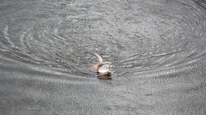 Gören şaşkına döndü! Vali Çicek sosyal medyadan 'gerçekten gizemli' notuyla paylaştı