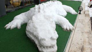 Sivas'ta şaşırtan görüntü! Uzunluğu 11 metre, yapımı 6 saat sürdü: Her yıl görmeye geliyorlar