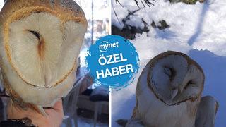 Burası: Hadımköy! Yoğun kar yağışı sonrası bu halde bulundu: 'Buraya nasıl gelmiş biz de bilmiyoruz'