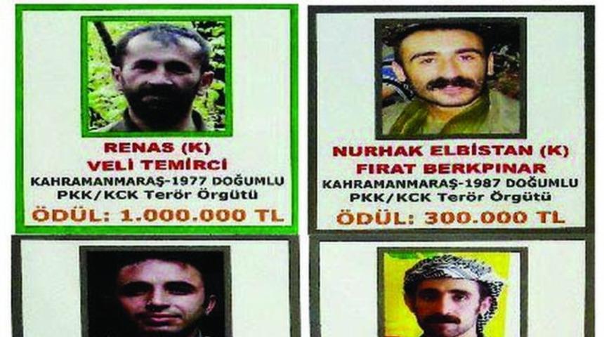 Başına 1 milyon lira &ouml;d&uuml;l konan PKK'lı &ouml;ld&uuml;r&uuml;ld&uuml;
