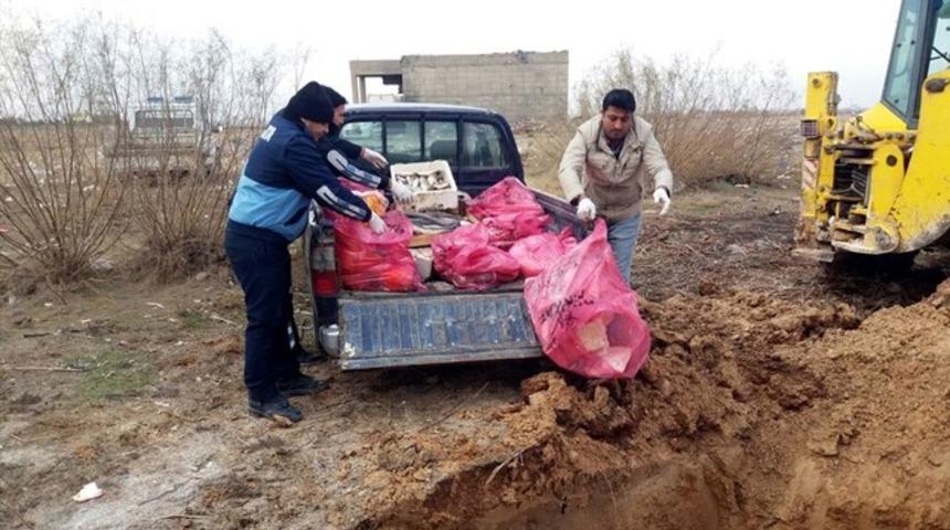 Ak&ccedil;akale'de kedi eti ile ka&ccedil;ak et ele ge&ccedil;irildi