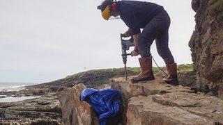 İngiltere'de dünyanın en büyük kırkayak fosili bulundu