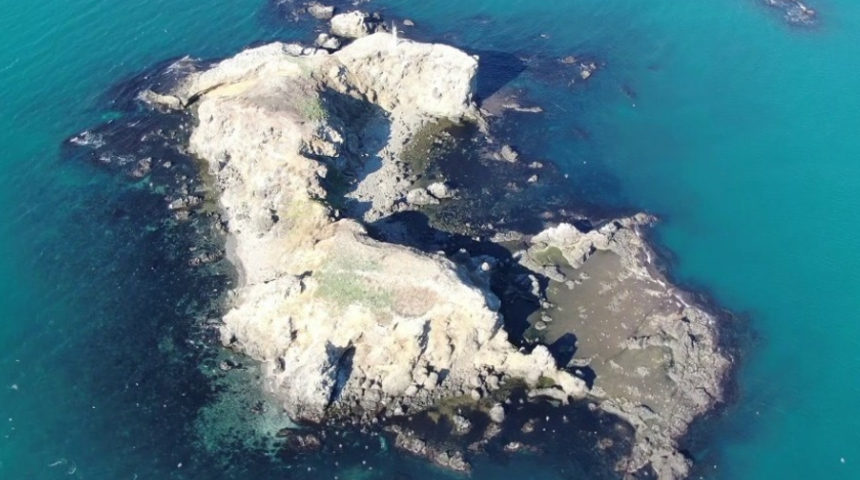 İstanbul'un gizemli adası! İnsan yaşamına ait çok az iz bulunuyor, çoğu kişi varlığından habersiz