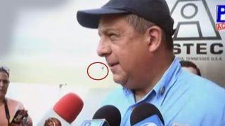 Kosta Rika Devlet Başkanı arıyı yedi